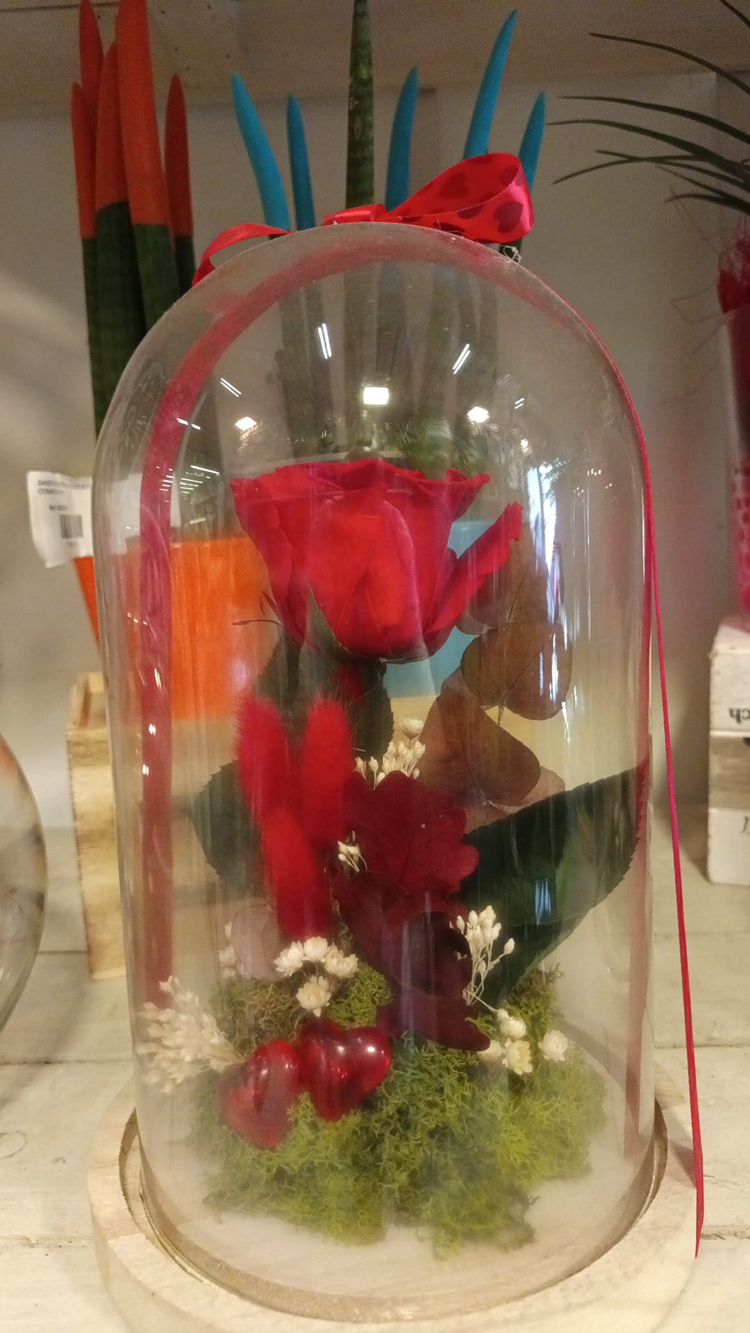Rosa roja preservada bajo campana de cristal con lazo, corazones y musgo